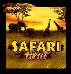 Safari Heat